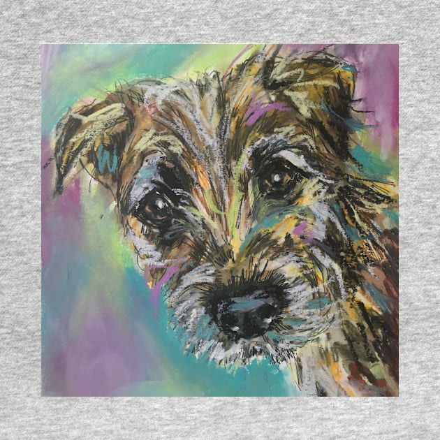 Colourful Border Terrier Puppy by Merlinsmates